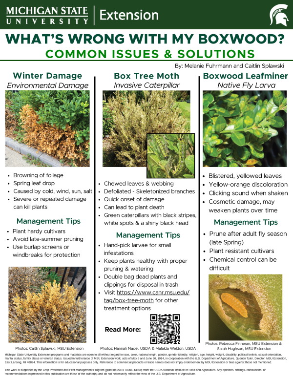 For decorative purposes.