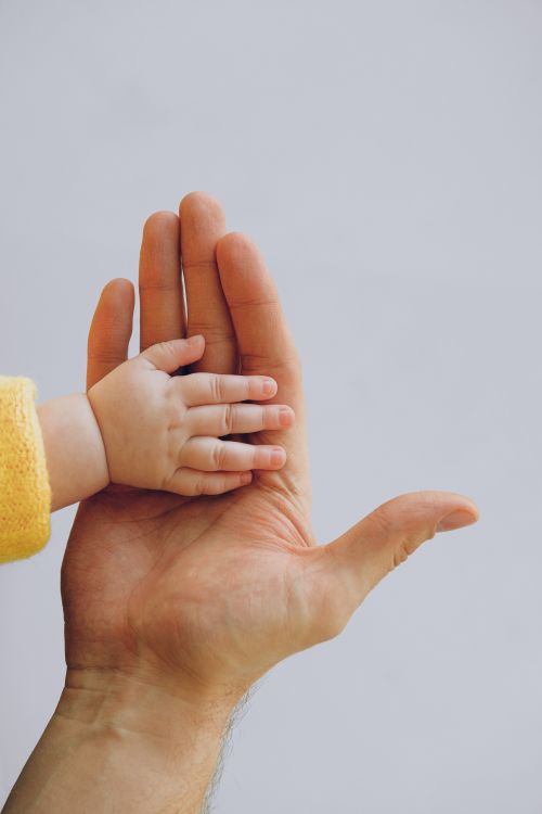 A little child's hand holding a big adult's hand.