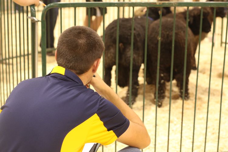 Youth practice science by observing animals and studying their anatomy and physiology.