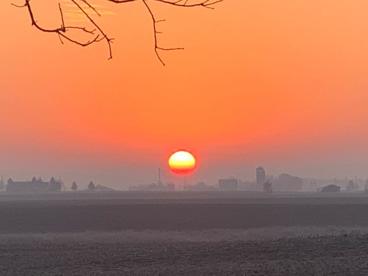 Sunset over a field.