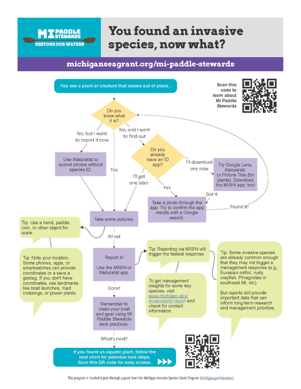 flow chart