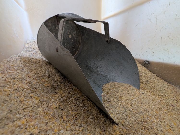 Photo of a metal scoop in animal feed