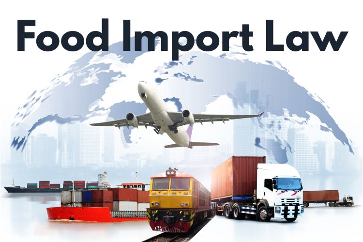 Illustrated image of world, airplane, cargo ship, train, and transport truck. Text reads 