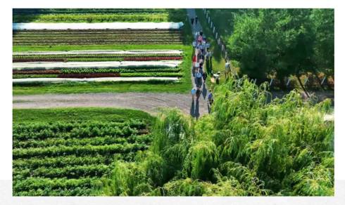 A tour of Granor Farm, with photo from above.