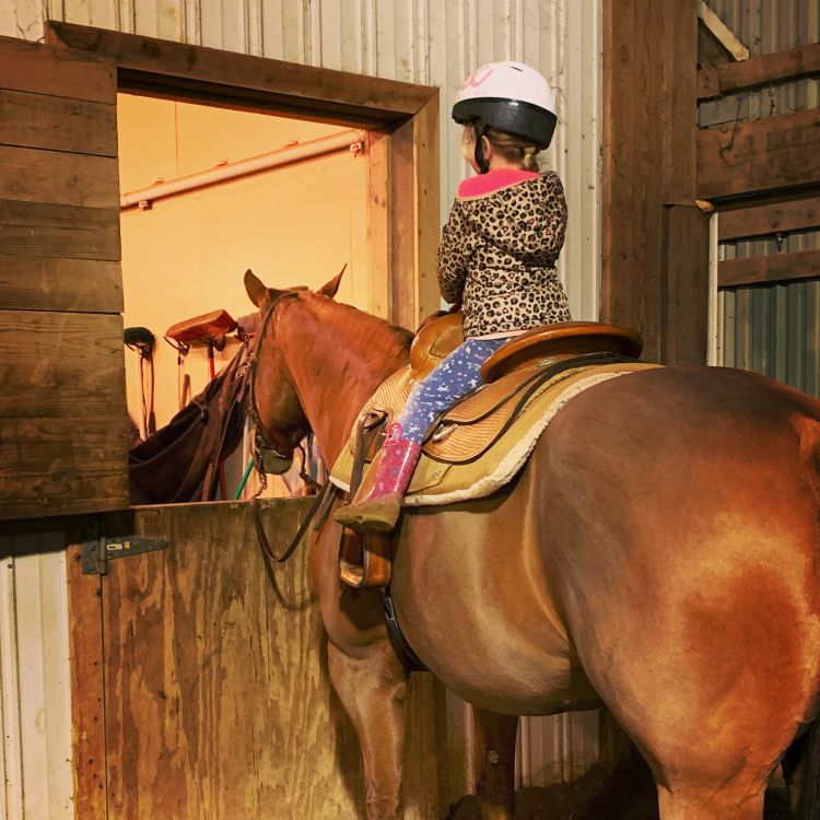 Little girl on horse