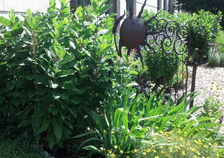 Children’s garden at The Peter White Library in Marquette, Michigan, created and maintained by Carol Fitzgerald, a Master Gardener. Photo credit: Rebecca Krans, MSU Extension