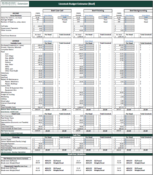 Front page of the budget decision tool.