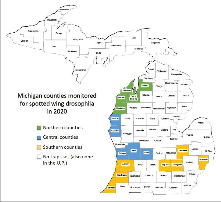 Counties where SWD populations are being monitored