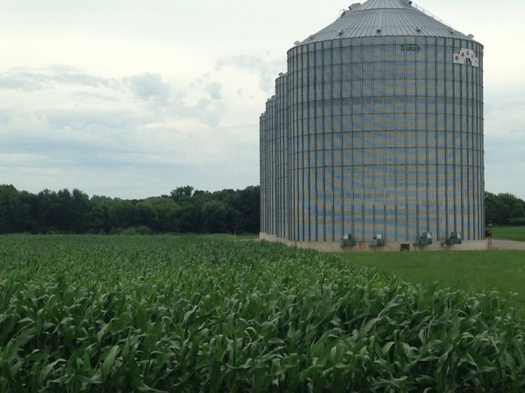 Grain bin