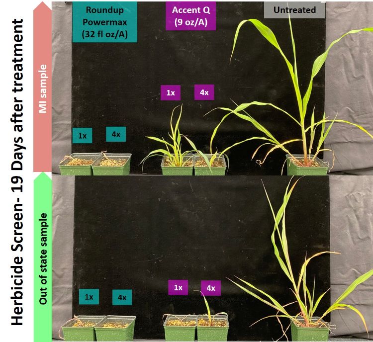 diagram depicting weeds in a controlled environment