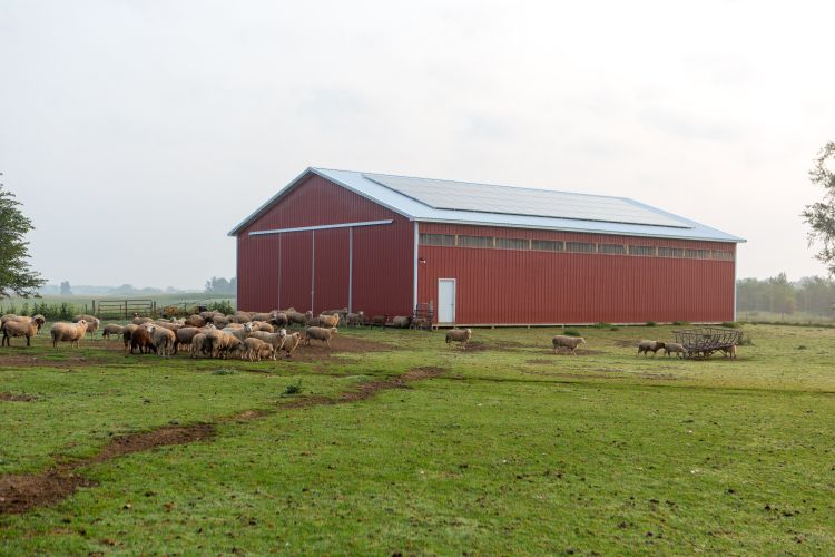 20 kW solar photovoltaic system at the Refsal/Marteniuk Farm. Photo credit: Al Go