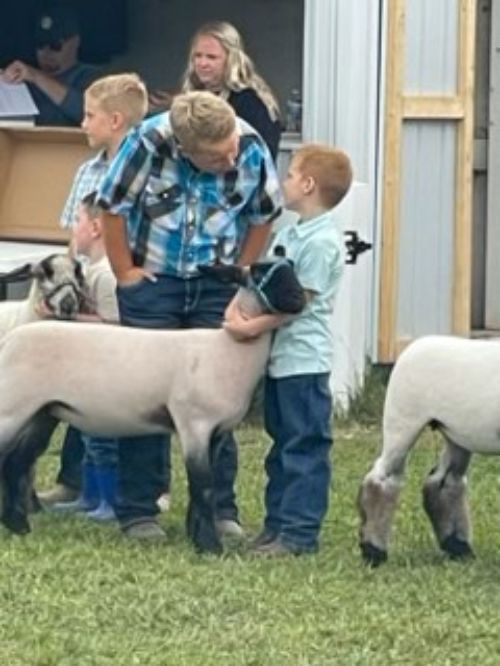 A young boy in a pale blue shirt holding a market lamb while an older teen talks to him.
