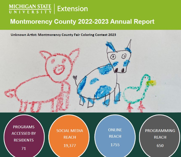 Cover of Montmorency Report