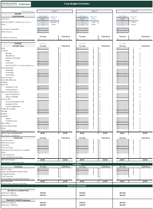 Page 1 of the budgeting tool.