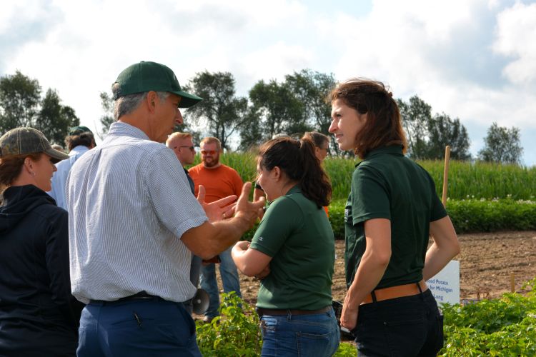 A man and a woman are standing and talking in a potato field.