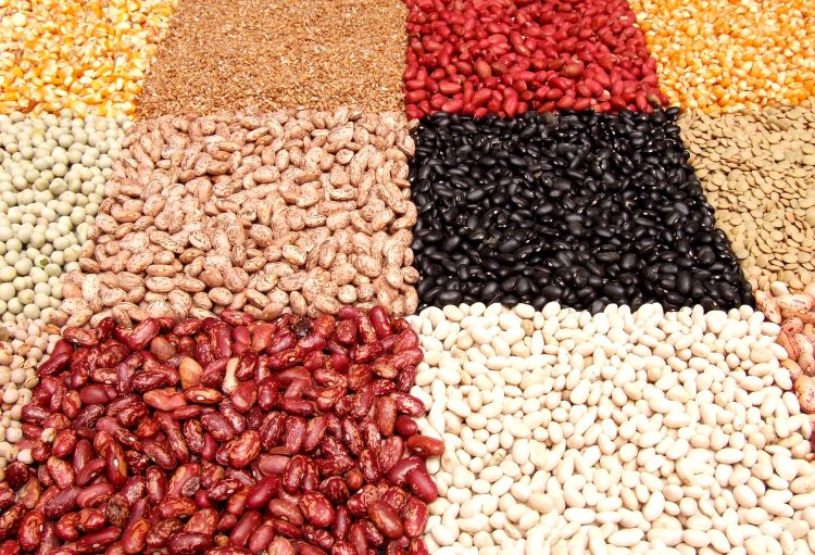 Different kinds of dry beans