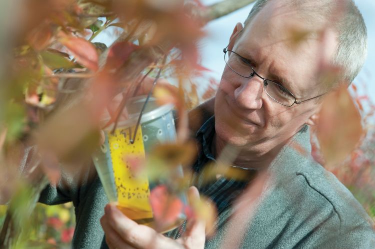 Rufus Isaacs conducting research in a field