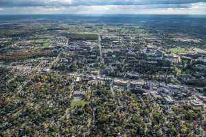 Reducing campus carbon emissions with MSU trees - Department of ...