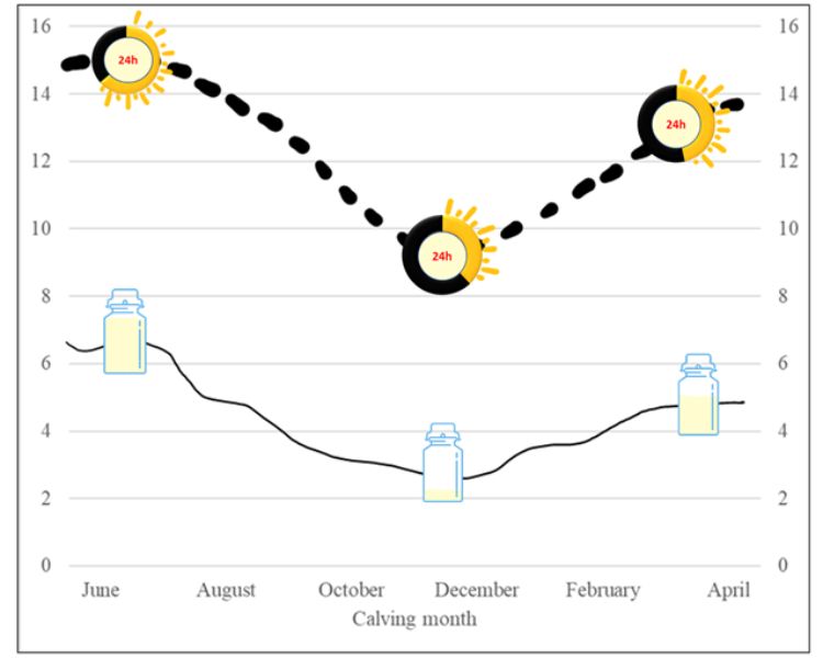 graph of colostrum production for decorative purposes