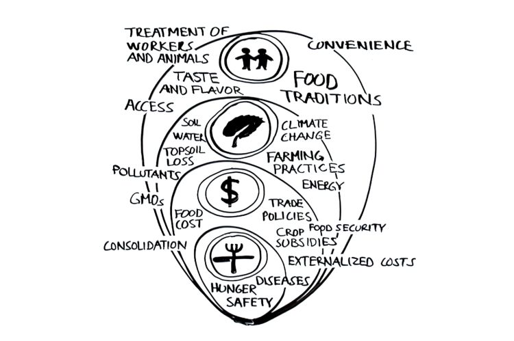 Examples of the SEED model of a food system.