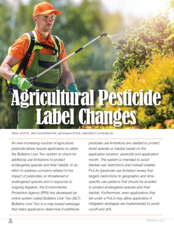 A photo of the first page of the resource.