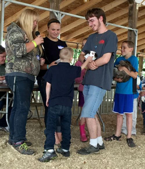 Jonah Wojnar showing a cloverbud how to show his rabbit at the fair. All photos: Theresa Wojnar.