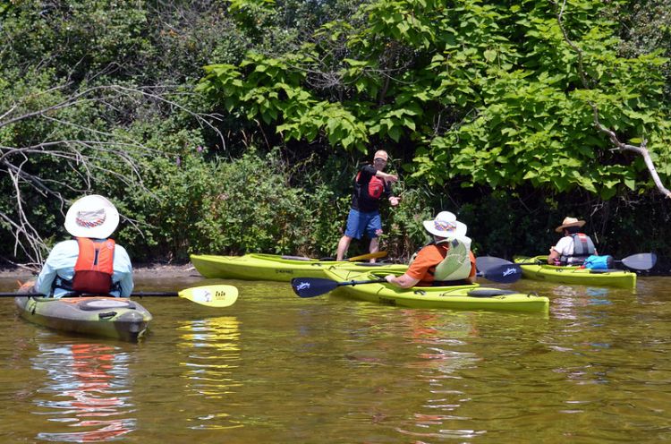 Four people are seen in their kayaks in the river as one describes how to hunt for aquatic invasive species along the shoreline.