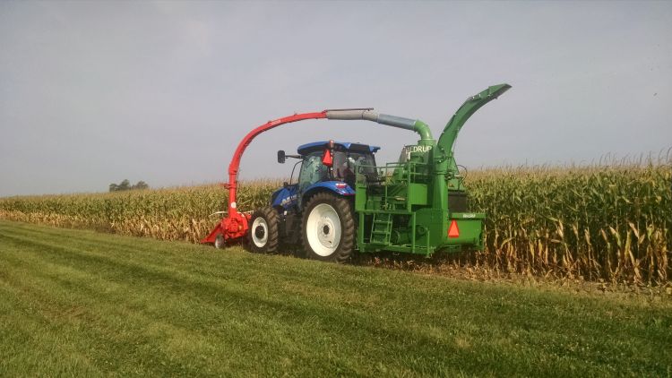 Silage harvest