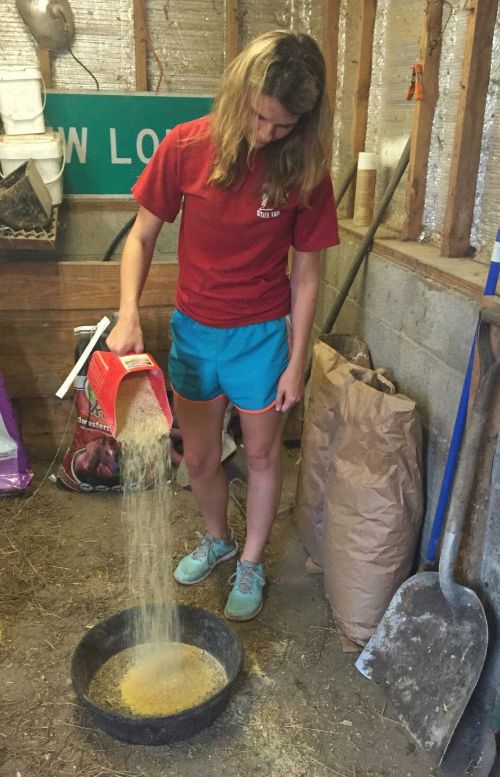 Youth apply science skills as they measure animal rations.