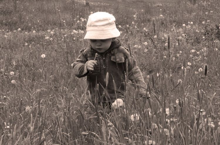 Children are naturally curious.