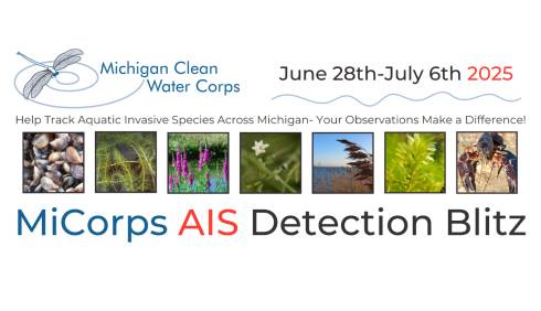 Event banner includes the Michigan Clean Water Corps logo, the event dates (June 28th - July 6th, 2025), the event title (MiCorps AIS Detection Blitz) and the tagline, 