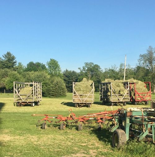 An open area of land with carts filled with hay