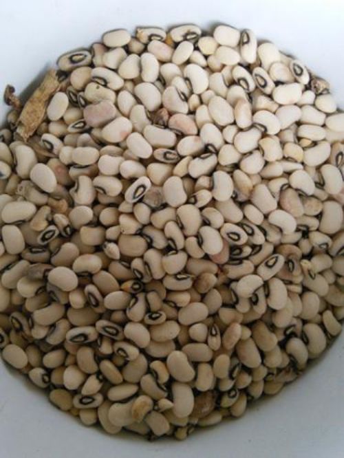 bowl of cowpeas