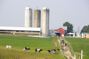 Nominations are open for the 2023 Dairy Farm of the Year Award