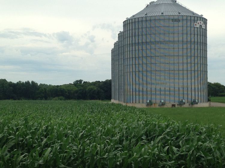 A grain bin