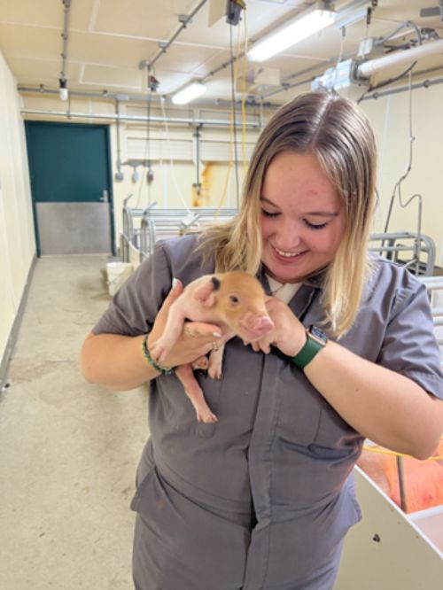 Pre-veterinary Medical Association member holds a piglet.