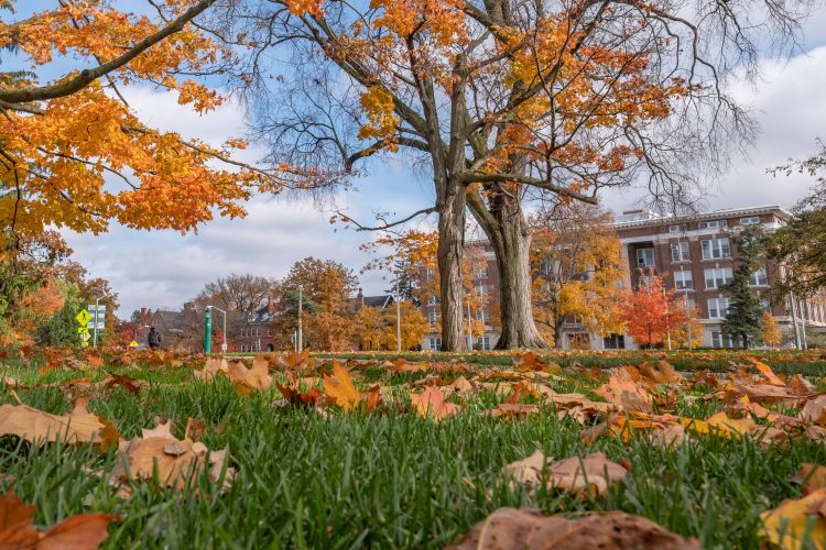 MSU Morrill Hall with fall leaves.