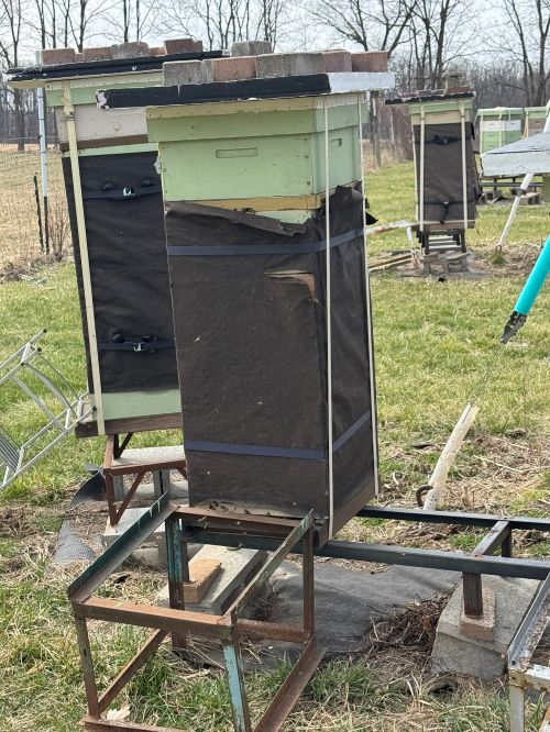 A collection of beehives wrapped with a black material.