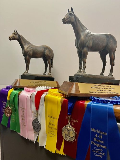 Two horse statue awards on top of a row of ribbons and medals.