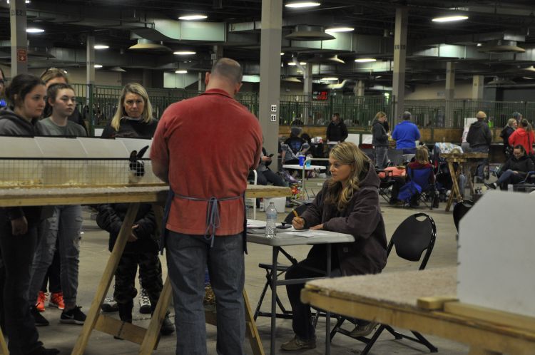 Youth at a rabbit show and a judge watching them.