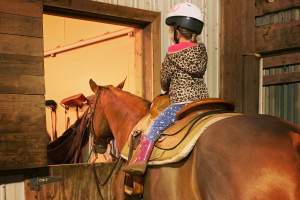 Defining horse jargon: Beginner riding terms