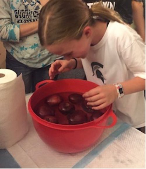 A photo of a girl bobbing for apples.