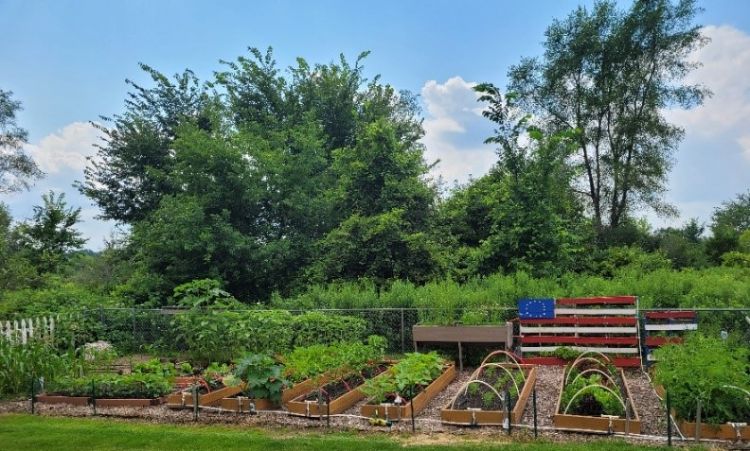 A garden with a decorative American flag.