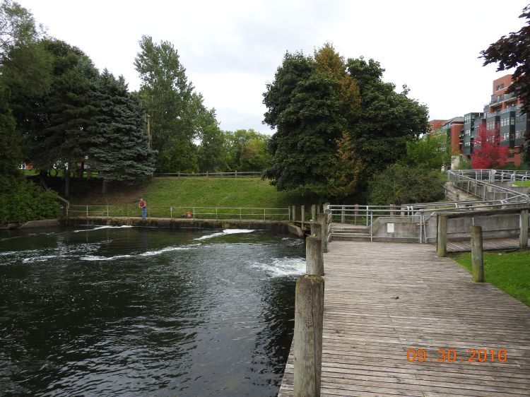 The Boardman River demonstration site will also help draw tourists, scientists, and people interested in the Great Lakes fishery to Traverse City. 