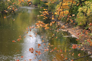 MSU part of new center leading climate change research in Midwest