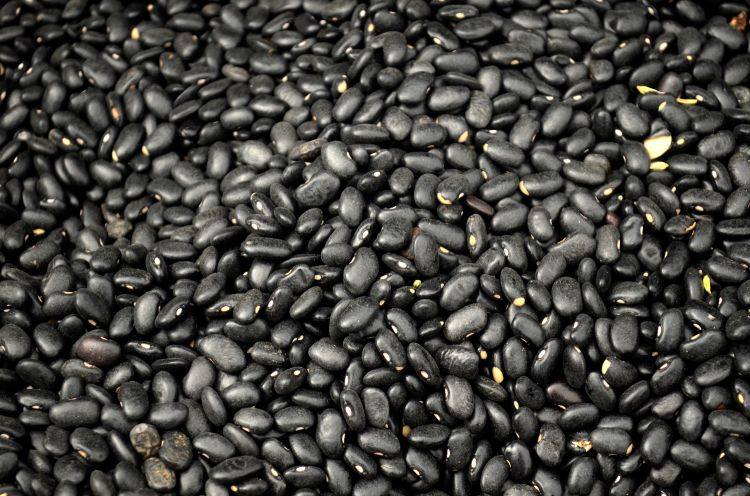 Black bean