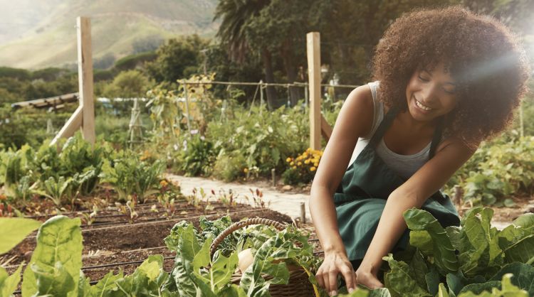 Woman in a community garden.