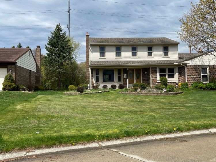 A home lawn that was cut too short.