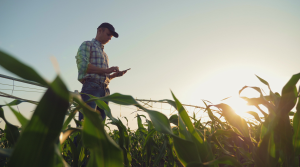 Improving labor efficiency on farms