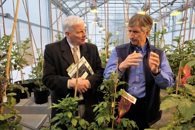 USDA National Institute of Food and Agriculture Director Scott Angle (left) learns about potato research with David Douches, director of the MSU Potato Breeding and Genetics Program, while visiting the MSU Horticulture Teaching and Research Center.